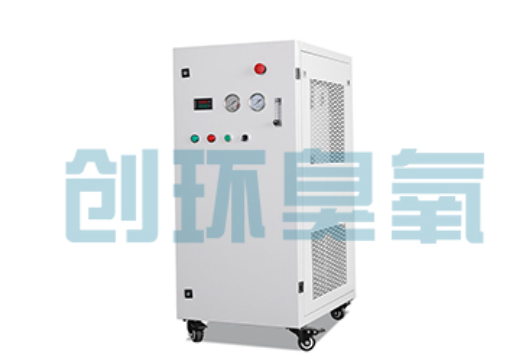 沽源石斑鱼养殖水质调控完整指南：臭氧发生器配置与操作步骤