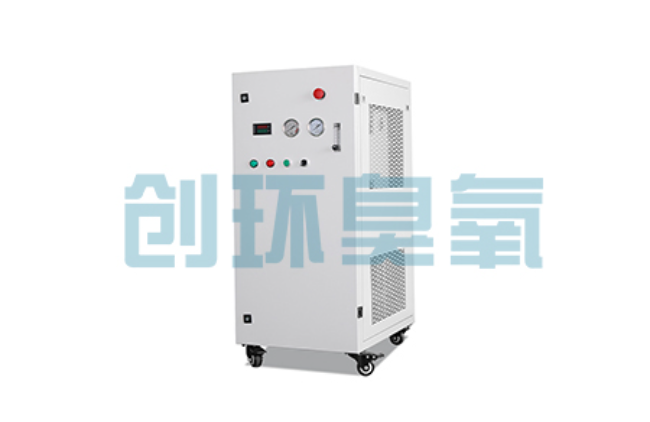 沽源比传统换水更高效？臭氧发生器在石斑鱼养殖中的水质净化原理解析